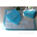 Clean pet pads 60x60cm